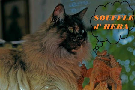 Inspiratrice de la collection